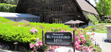 Rutherford Wine Tours
