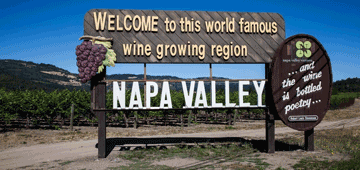 Napa Wine Tours