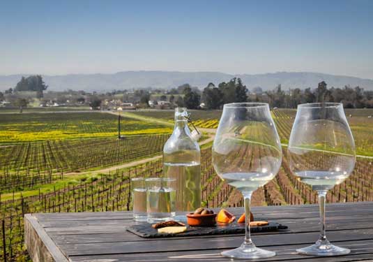 Sonoma Wine Tour Limousine Service